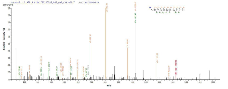 Based on the SEQUEST from database of E.coli host and target protein, the LC-MS/MS Analysis result of this product could indicate that this peptide derived from E.coli-expressed Helicobacter pylori (strain ATCC 700392 / 26695) (Campylobacter pylori) vacA.