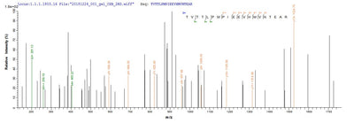 Based on the SEQUEST from database of E.coli host and target protein, the LC-MS/MS Analysis result of this product could indicate that this peptide derived from E.coli-expressed Human herpesvirus 7 (strain JI) (HHV-7) (Human T lymphotropic virus) gB.