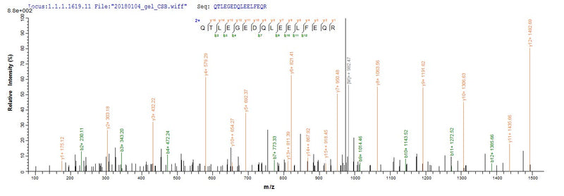 Based on the SEQUEST from database of E.coli host and target protein, the LC-MS/MS Analysis result of this product could indicate that this peptide derived from E.coli-expressed Staphylococcus aureus (strain MW2) mecA.