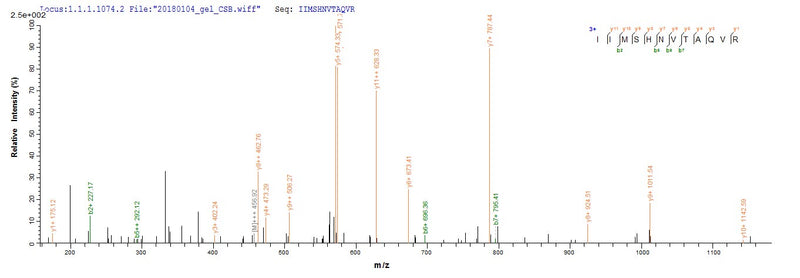 Based on the SEQUEST from database of E.coli host and target protein, the LC-MS/MS Analysis result of this product could indicate that this peptide derived from E.coli-expressed Staphylococcus aureus (strain MW2) mecA.