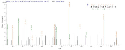 Based on the SEQUEST from database of E.coli host and target protein, the LC-MS/MS Analysis result of this product could indicate that this peptide derived from E.coli-expressed Staphylococcus aureus (strain Mu50 / ATCC 700699) eno.