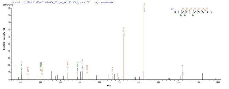 Based on the SEQUEST from database of E.coli host and target protein, the LC-MS/MS Analysis result of this product could indicate that this peptide derived from E.coli-expressed Staphylococcus aureus (strain Mu50 / ATCC 700699) ldhA.