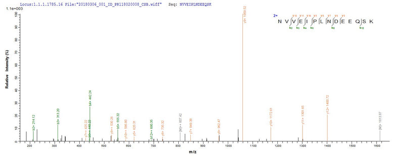 Based on the SEQUEST from database of E.coli host and target protein, the LC-MS/MS Analysis result of this product could indicate that this peptide derived from E.coli-expressed Staphylococcus aureus (strain Mu50 / ATCC 700699) ldhA.