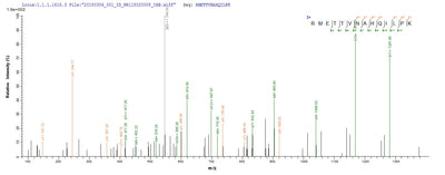 Based on the SEQUEST from database of E.coli host and target protein, the LC-MS/MS Analysis result of this product could indicate that this peptide derived from E.coli-expressed Hepatitis B virus genotype D subtype ayw (isolate France/Tiollais/1979) (HBV-D) X.