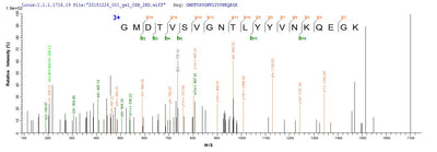 Based on the SEQUEST from database of E.coli host and target protein, the LC-MS/MS Analysis result of this product could indicate that this peptide derived from E.coli-expressed Human respiratory syncytial virus A (strain A2) F.