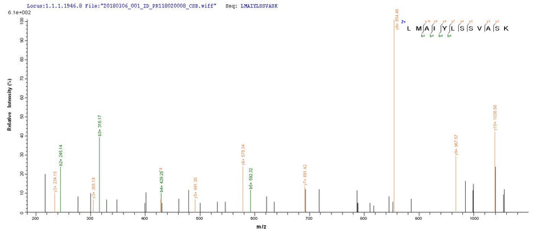 Based on the SEQUEST from database of E.coli host and target protein, the LC-MS/MS Analysis result of this product could indicate that this peptide derived from E.coli-expressed Human parvovirus B19 (isolate AU) (HPV B19) NS1.