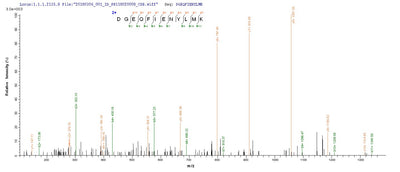 Based on the SEQUEST from database of E.coli host and target protein, the LC-MS/MS Analysis result of this product could indicate that this peptide derived from E.coli-expressed Human parvovirus B19 (isolate AU) (HPV B19) NS1.