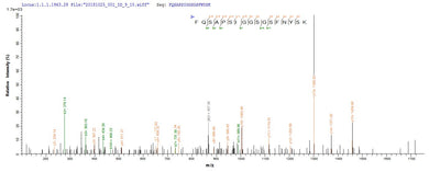 Based on the SEQUEST from database of E.coli host and target protein, the LC-MS/MS Analysis result of this product could indicate that this peptide derived from E.coli-expressed Staphylococcus aureus (strain MW2) hlgA.