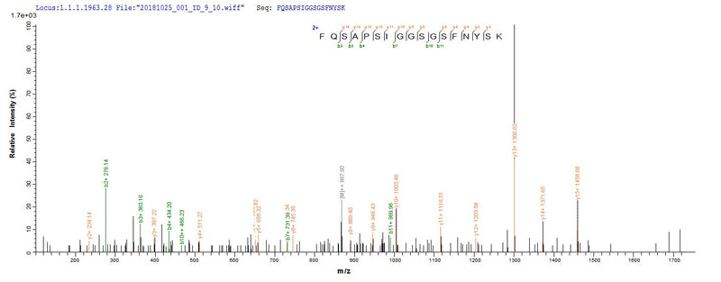 Based on the SEQUEST from database of E.coli host and target protein, the LC-MS/MS Analysis result of this product could indicate that this peptide derived from E.coli-expressed Staphylococcus aureus (strain MW2) hlgA.