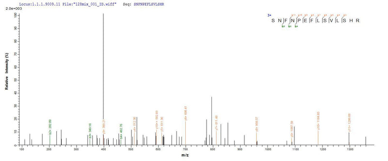 Based on the SEQUEST from database of E.coli host and target protein, the LC-MS/MS Analysis result of this product could indicate that this peptide derived from E.coli-expressed Staphylococcus aureus (strain N315) hlgB.