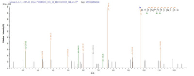 Based on the SEQUEST from database of E.coli host and target protein, the LC-MS/MS Analysis result of this product could indicate that this peptide derived from E.coli-expressed Enterobacteria phage T4 (Bacteriophage T4) E.