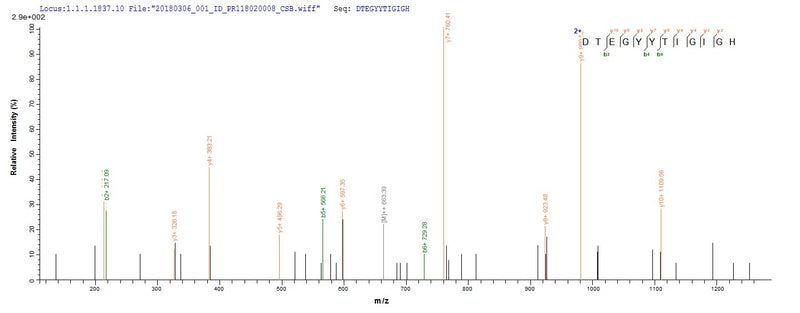 Based on the SEQUEST from database of E.coli host and target protein, the LC-MS/MS Analysis result of this product could indicate that this peptide derived from E.coli-expressed Enterobacteria phage T4 (Bacteriophage T4) E.