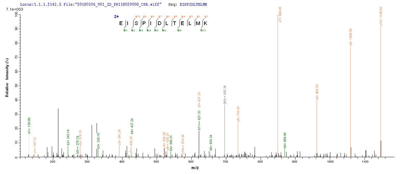 Based on the SEQUEST from database of E.coli host and target protein, the LC-MS/MS Analysis result of this product could indicate that this peptide derived from E.coli-expressed Staphylococcus aureus repD.