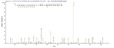 Based on the SEQUEST from database of E.coli host and target protein, the LC-MS/MS Analysis result of this product could indicate that this peptide derived from E.coli-expressed BK polyomavirus (BKPyV) (Human polyomavirus 1) N/A.