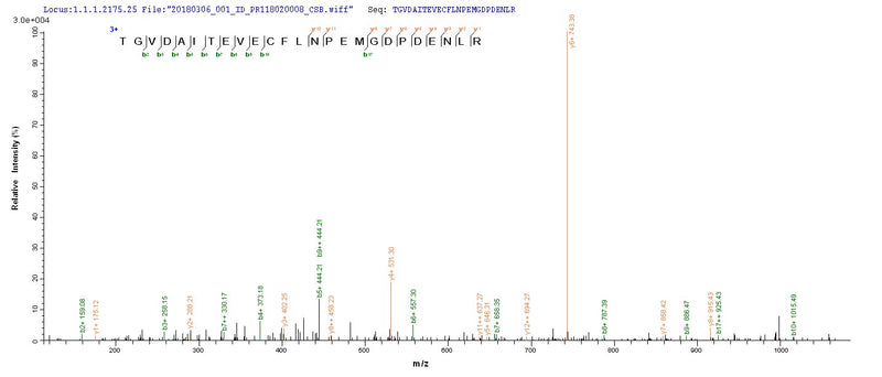 Based on the SEQUEST from database of E.coli host and target protein, the LC-MS/MS Analysis result of this product could indicate that this peptide derived from E.coli-expressed BK polyomavirus (BKPyV) (Human polyomavirus 1) N/A.