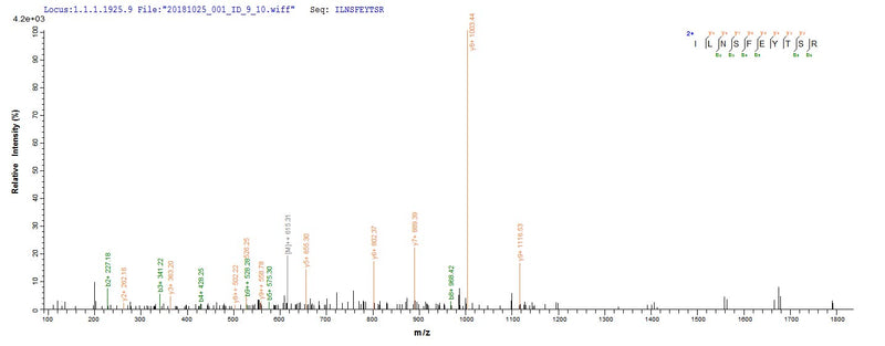 Based on the SEQUEST from database of E.coli host and target protein, the LC-MS/MS Analysis result of this product could indicate that this peptide derived from E.coli-expressed SaccharoMyces cerevisiae (strain ATCC 204508 / S288c) (Baker&