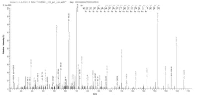 Based on the SEQUEST from database of E.coli host and target protein, the LC-MS/MS Analysis result of this product could indicate that this peptide derived from E.coli-expressed Escherichia coli O157:H7 mscL.