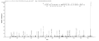 Based on the SEQUEST from database of E.coli host and target protein, the LC-MS/MS Analysis result of this product could indicate that this peptide derived from E.coli-expressed Escherichia coli O157:H7 mscL.