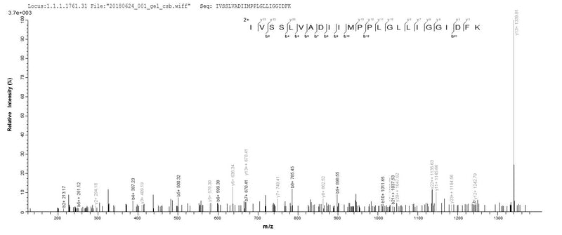 Based on the SEQUEST from database of E.coli host and target protein, the LC-MS/MS Analysis result of this product could indicate that this peptide derived from E.coli-expressed Escherichia coli O157:H7 mscL.