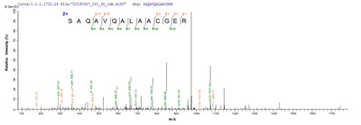 Based on the SEQUEST from database of E.coli host and target protein, the LC-MS/MS Analysis result of this product could indicate that this peptide derived from E.coli-expressed Shigella flexneri grxD.