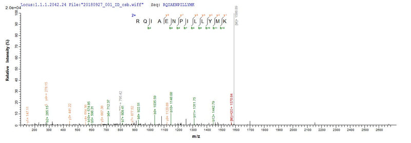 Based on the SEQUEST from database of E.coli host and target protein, the LC-MS/MS Analysis result of this product could indicate that this peptide derived from E.coli-expressed Shigella flexneri grxD.