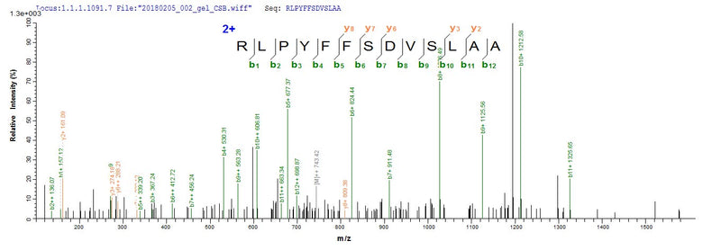 Based on the SEQUEST from database of E.coli host and target protein, the LC-MS/MS Analysis result of this product could indicate that this peptide derived from E.coli-expressed Human papillomavirus type 16 L2.