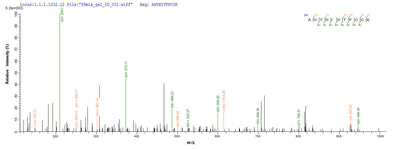 Based on the SEQUEST from database of E.coli host and target protein, the LC-MS/MS Analysis result of this product could indicate that this peptide derived from E.coli-expressed Homo sapiens (Human) E7.