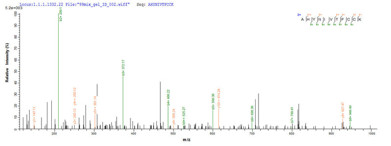 Based on the SEQUEST from database of E.coli host and target protein, the LC-MS/MS Analysis result of this product could indicate that this peptide derived from E.coli-expressed Homo sapiens (Human) E7.