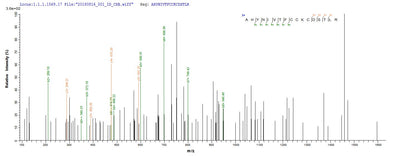 Based on the SEQUEST from database of E.coli host and target protein, the LC-MS/MS Analysis result of this product could indicate that this peptide derived from E.coli-expressed Human papillomavirus type 16 E7.