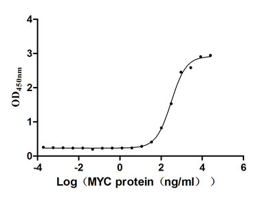 Activity Measured by its binding ability in a functional ELISA. Immobilized HPV16 E7 at 10 μg/ml can bind Biotinylated MYC, the EC 50 is 268.1-354.3 ng/mL. Biological Activity Assay