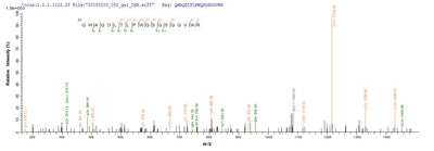 Based on the SEQUEST from database of E.coli host and target protein, the LC-MS/MS Analysis result of this product could indicate that this peptide derived from E.coli-expressed Yellow fever virus (strain 17D vaccine) (YFV) N/A.