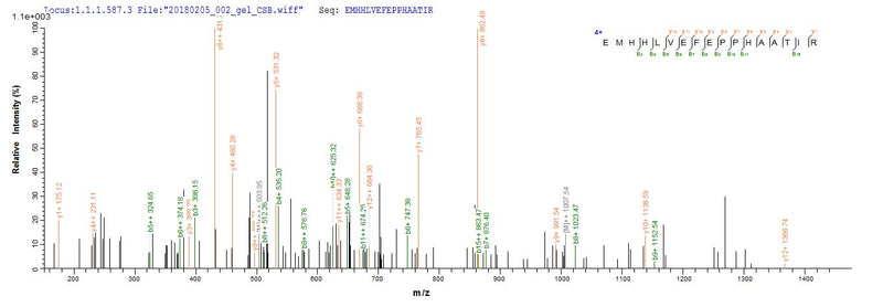 Based on the SEQUEST from database of E.coli host and target protein, the LC-MS/MS Analysis result of this product could indicate that this peptide derived from E.coli-expressed Yellow fever virus (strain 17D vaccine) (YFV) N/A.