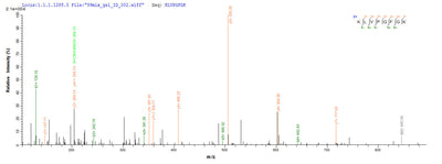 Based on the SEQUEST from database of E.coli host and target protein, the LC-MS/MS Analysis result of this product could indicate that this peptide derived from E.coli-expressed Rabies virus (strain ERA) (RABV) G.