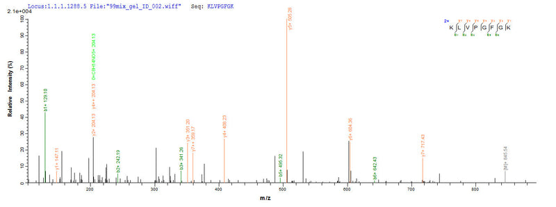 Based on the SEQUEST from database of E.coli host and target protein, the LC-MS/MS Analysis result of this product could indicate that this peptide derived from E.coli-expressed Rabies virus (strain ERA) (RABV) G.