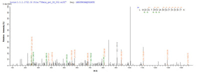 Based on the SEQUEST from database of E.coli host and target protein, the LC-MS/MS Analysis result of this product could indicate that this peptide derived from E.coli-expressed Rabies virus (strain ERA) (RABV) G.