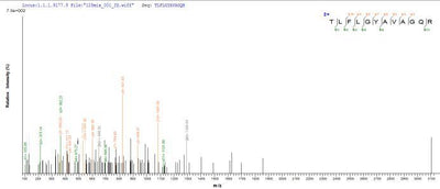 Based on the SEQUEST from database of E.coli host and target protein, the LC-MS/MS Analysis result of this product could indicate that this peptide derived from E.coli-expressed Salmonella heidelberg (strain SL476) dsdA.