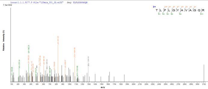 Based on the SEQUEST from database of E.coli host and target protein, the LC-MS/MS Analysis result of this product could indicate that this peptide derived from E.coli-expressed Salmonella heidelberg (strain SL476) dsdA.