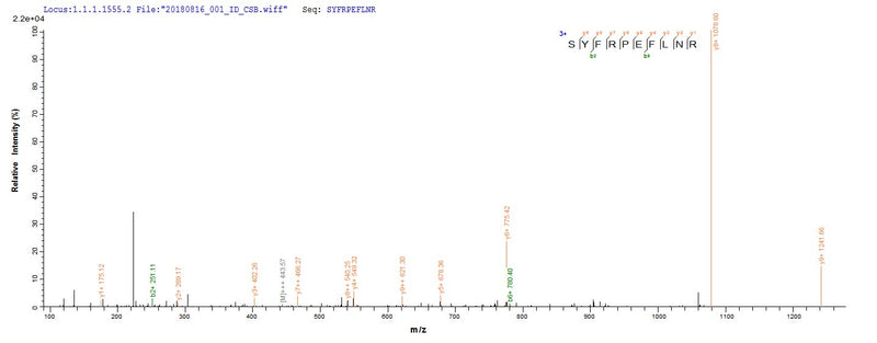 Based on the SEQUEST from database of E.coli host and target protein, the LC-MS/MS Analysis result of this product could indicate that this peptide derived from E.coli-expressed Trypanosoma cruzi HSP100.