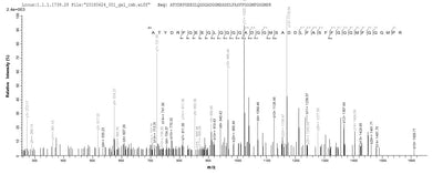 Based on the SEQUEST from database of E.coli host and target protein, the LC-MS/MS Analysis result of this product could indicate that this peptide derived from E.coli-expressed Schizosaccharomyces pombe (strain 972 / ATCC 24843) (Fission yeast) mas5.