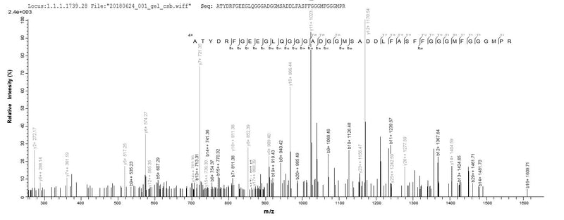 Based on the SEQUEST from database of E.coli host and target protein, the LC-MS/MS Analysis result of this product could indicate that this peptide derived from E.coli-expressed Schizosaccharomyces pombe (strain 972 / ATCC 24843) (Fission yeast) mas5.