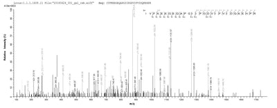 Based on the SEQUEST from database of E.coli host and target protein, the LC-MS/MS Analysis result of this product could indicate that this peptide derived from E.coli-expressed Schizosaccharomyces pombe (strain 972 / ATCC 24843) (Fission yeast) mas5.