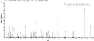 Based on the SEQUEST from database of E.coli host and target protein, the LC-MS/MS Analysis result of this product could indicate that this peptide derived from E.coli-expressed Rabies virus (strain CVS-11) (RABV) G.