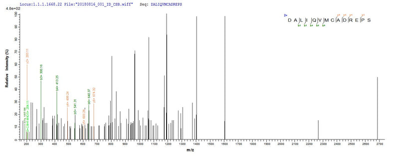 Based on the SEQUEST from database of E.coli host and target protein, the LC-MS/MS Analysis result of this product could indicate that this peptide derived from E.coli-expressed Treponema pallidum (strain Nichols) TP_0608.