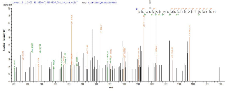 Based on the SEQUEST from database of E.coli host and target protein, the LC-MS/MS Analysis result of this product could indicate that this peptide derived from E.coli-expressed Treponema pallidum (strain Nichols) TP_0608.