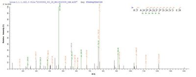 Based on the SEQUEST from database of E.coli host and target protein, the LC-MS/MS Analysis result of this product could indicate that this peptide derived from E.coli-expressed Streptomyces caespitosus scaIM.