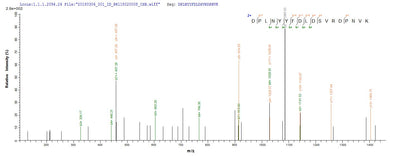 Based on the SEQUEST from database of E.coli host and target protein, the LC-MS/MS Analysis result of this product could indicate that this peptide derived from E.coli-expressed Streptomyces caespitosus scaIM.