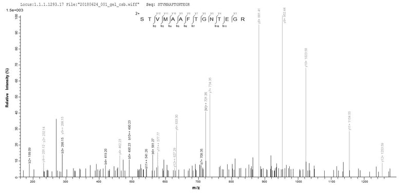 Based on the SEQUEST from database of E.coli host and target protein, the LC-MS/MS Analysis result of this product could indicate that this peptide derived from E.coli-expressed Influenza A virus (strain A/Kitakyushu/159/1993 H3N2) NP.