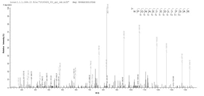 Based on the SEQUEST from database of E.coli host and target protein, the LC-MS/MS Analysis result of this product could indicate that this peptide derived from E.coli-expressed Influenza A virus (strain A/Kitakyushu/159/1993 H3N2) NP.