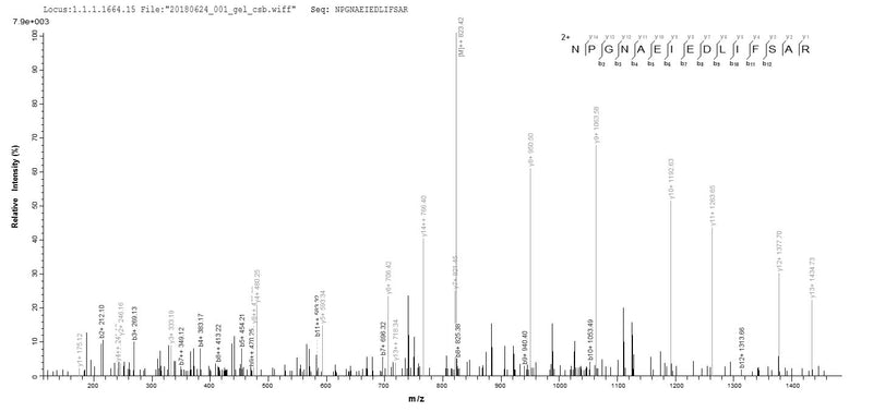 Based on the SEQUEST from database of E.coli host and target protein, the LC-MS/MS Analysis result of this product could indicate that this peptide derived from E.coli-expressed Influenza A virus (strain A/Kitakyushu/159/1993 H3N2) NP.