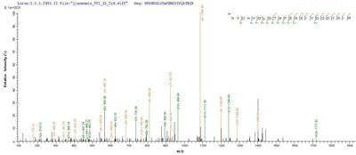 Based on the SEQUEST from database of E.coli host and target protein, the LC-MS/MS Analysis result of this product could indicate that this peptide derived from E.coli-expressed Porcine circovirus 2 (PCV2) Cap.